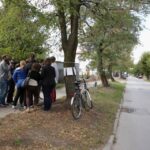 08.09.2015 Kielce. Piekoszowska. Happening przeciwko wycinaniu drzew i planowanej ścieżce rowerowej / Stanisław Blinstrub / Radio Kielce