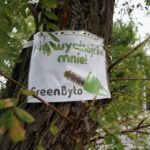 08.09.2015 Kielce. Piekoszowska. Happening przeciwko wycinaniu drzew i planowanej ścieżce rowerowej / Stanisław Blinstrub / Radio Kielce