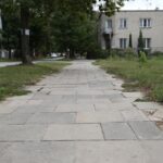 08.09.2015 Kielce. Piekoszowska. Happening przeciwko wycinaniu drzew i planowanej ścieżce rowerowej / Stanisław Blinstrub / Radio Kielce