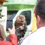 20.09.2015 Kielce. Sienkiewicza. Grzybobranie na deptaku wraz z Lasami Państwowymi / Stanisław Blinstrub / Radio Kielce