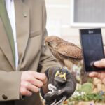 20.09.2015 Kielce. Sienkiewicza. Grzybobranie na deptaku wraz z Lasami Państwowymi / Stanisław Blinstrub / Radio Kielce