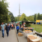 13.9.2015 Św. Krzyż. W niedzielę rozpoczynają się tygodniowe uroczystości odpustowe na Świętym Krzyżu. W południe na błoniach przed bazyliką została odprawiona suma odpustowa. / Kamil Król / Radio Kielce
