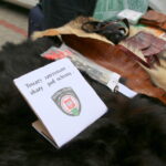 06.09.2015. Festyn Rodzinny w Zachełmiu / Kamil Król / Radio Kielce