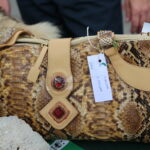 06.09.2015. Festyn Rodzinny w Zachełmiu / Kamil Król / Radio Kielce