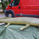 06.09.2015. Festyn Rodzinny w Zachełmiu / Kamil Król / Radio Kielce