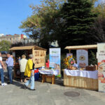 13.9.2015 Kielce. Dzień otwarty z okazji 10-lecia istnienia kieleckiego oddziału Telewizji Polskiej. / Wojciech Habdas / Radio Kielce