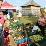 13.9.2015 Tokarnia. Święto Chleba. / Wojciech Habdas / Radio Kielce