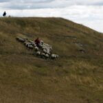 09.09.2015 Poniedzie. Project Life+. Strzyżenie owiec. / Grzegorz Jamka / Radio Kielce