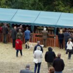 09.09.2015 Poniedzie. Project Life+. Strzyżenie owiec. / Grzegorz Jamka / Radio Kielce