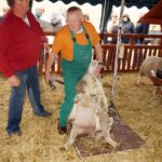 09.09.2015 Poniedzie. Project Life+. Strzyżenie owiec. / Grzegorz Jamka / Radio Kielce