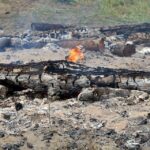 20.09.2015 Dębno. Pieczenie ziemniaków. / Krzysztof Żołądek / Radio Kielce