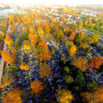 30.10.2015 Kielce. Cmentarz Stary / Wojciech Habdas / Radio Kielce