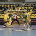 Vive Tauron vs Azoty Puławy (20 października 2015 r.) / Piotr Michalski / Radio Kielce