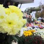 24.10.2015. Wzmożony ruch na cmentarzach / Robert Felczak / Radio Kielce