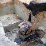 18.10.2015. Odkrycie archeologów przy ulicy Kaczyńskiego / Krzysztof Żołądek / Radio Kielce