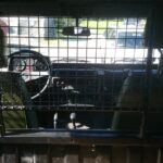 12.10.2015. Mercedes Benz model militarny Gelenda Wolf / Marek Cender / Radio Kielce