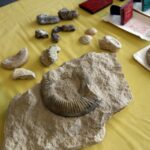 25.10.2015 Chęciny. Dzień otwarty w Europejskim Centrum Edukacji Geologicznej / Stanisław Blinstrub / Radio Kielce