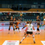 15.10.2015. Inauguracja Orlen Ligi: Impel Wrocław - KSZO Ostrowiec / Kamil Król / Radio Kielce