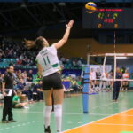 15.10.2015. Inauguracja Orlen Ligi: Impel Wrocław - KSZO Ostrowiec / Kamil Król / Radio Kielce