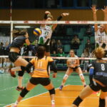 15.10.2015. Inauguracja Orlen Ligi: Impel Wrocław - KSZO Ostrowiec / Kamil Król / Radio Kielce