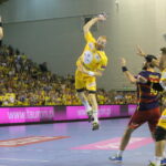 17.10.2015. Mecz 5. kolejki Ligi Mistrzów piłkarzy ręcznych: Vive Tauron Kielce - FC Barcelona / Kamil Król / Radio Kielce
