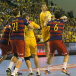 17.10.2015. Mecz 5. kolejki Ligi Mistrzów piłkarzy ręcznych: Vive Tauron Kielce - FC Barcelona / Kamil Król / Radio Kielce