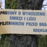 30.10.2015. Ostatnie porządki na Cmentarzu Starym w Kielcach / Kamil Król / Radio Kielce
