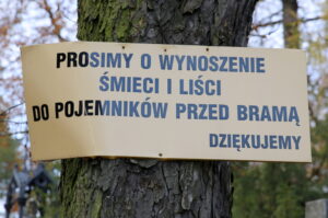 30.10.2015. Ostatnie porządki na Cmentarzu Starym w Kielcach / Kamil Król / Radio Kielce