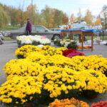 30.10.2015. Wzmożony ruch przy kieleckich cmentarzach. Zmiana w organizacji ruchu / Kamil Król / Radio Kielce