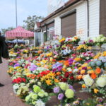 30.10.2015. Wzmożony ruch przy kieleckich cmentarzach. Zmiana w organizacji ruchu / Kamil Król / Radio Kielce