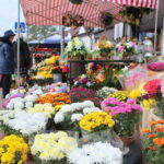 30.10.2015. Wzmożony ruch przy kieleckich cmentarzach. Zmiana w organizacji ruchu / Kamil Król / Radio Kielce