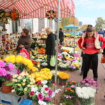 30.10.2015. Wzmożony ruch przy kieleckich cmentarzach. Zmiana w organizacji ruchu / Kamil Król / Radio Kielce