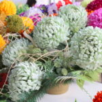 30.10.2015. Wzmożony ruch przy kieleckich cmentarzach. Zmiana w organizacji ruchu / Kamil Król / Radio Kielce