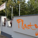 07.10.2015. Ogrodzenie Zespołu Państwowych Szkół Plastycznych / Kamil Król / Radio Kielce