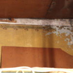 10.7.2015 Kielce. Dom modlitwy Herszla Zagajskiego w Kielcach. Rozpoczęły się prace konserwatorskie przy polichromiach które mają być przeniesione do budowanego na Pakoszu nowego domu modlitwy. / Wojciech Habdas / Radio Kielce