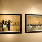 16.10.2015 Kielce. Przyroda Ponidzia w obiektywie Sławomira Mrozka - wystawa w Muzeum Historii Kielc / Wojciech Habdas / Radio Kielce