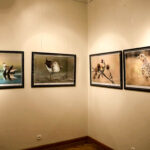 16.10.2015 Kielce. Przyroda Ponidzia w obiektywie Sławomira Mrozka - wystawa w Muzeum Historii Kielc / Wojciech Habdas / Radio Kielce