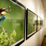 16.10.2015 Kielce. Przyroda Ponidzia w obiektywie Sławomira Mrozka - wystawa w Muzeum Historii Kielc / Wojciech Habdas / Radio Kielce