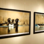 16.10.2015 Kielce. Przyroda Ponidzia w obiektywie Sławomira Mrozka - wystawa w Muzeum Historii Kielc / Wojciech Habdas / Radio Kielce