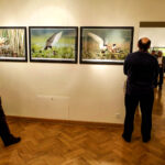 16.10.2015 Kielce. Przyroda Ponidzia w obiektywie Sławomira Mrozka - wystawa w Muzeum Historii Kielc / Wojciech Habdas / Radio Kielce