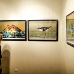 16.10.2015 Kielce. Przyroda Ponidzia w obiektywie Sławomira Mrozka - wystawa w Muzeum Historii Kielc / Wojciech Habdas / Radio Kielce