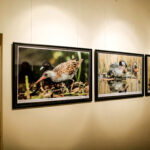 16.10.2015 Kielce. Przyroda Ponidzia w obiektywie Sławomira Mrozka - wystawa w Muzeum Historii Kielc / Wojciech Habdas / Radio Kielce