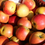 4.10.2015 Kielce. Msza święta w kieleckiej katedrze rozpoczęła tegoroczne święto myśliwych „Hubertusa”. Później imprezy odbywały się na Stadionie Leśnym. / Wojciech Habdas / Radio Kielce