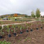 Ruszają wiosenne nasadzenia