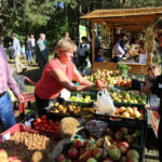 4.10.2015 Kielce. Msza święta w kieleckiej katedrze rozpoczęła tegoroczne święto myśliwych „Hubertusa”. Później imprezy odbywały się na Stadionie Leśnym. / Wojciech Habdas / Radio Kielce