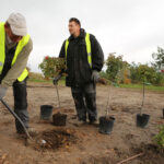 22.10.2015 Kielce. W Ogrodzie botanicznym trwa sadzenie różnych odmian róż. / Wojciech Habdas / Radio Kielce