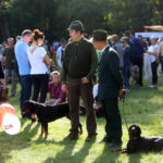 4.10.2015 Kielce. Msza święta w kieleckiej katedrze rozpoczęła tegoroczne święto myśliwych „Hubertusa”. Później imprezy odbywały się na Stadionie Leśnym. / Wojciech Habdas / Radio Kielce