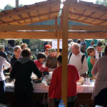 4.10.2015 Kielce. Msza święta w kieleckiej katedrze rozpoczęła tegoroczne święto myśliwych „Hubertusa”. Później imprezy odbywały się na Stadionie Leśnym. / Wojciech Habdas / Radio Kielce