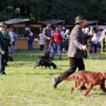 4.10.2015 Kielce. Msza święta w kieleckiej katedrze rozpoczęła tegoroczne święto myśliwych „Hubertusa”. Później imprezy odbywały się na Stadionie Leśnym. / Wojciech Habdas / Radio Kielce