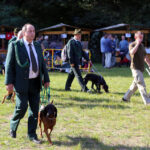 4.10.2015 Kielce. Msza święta w kieleckiej katedrze rozpoczęła tegoroczne święto myśliwych „Hubertusa”. Później imprezy odbywały się na Stadionie Leśnym. / Wojciech Habdas / Radio Kielce